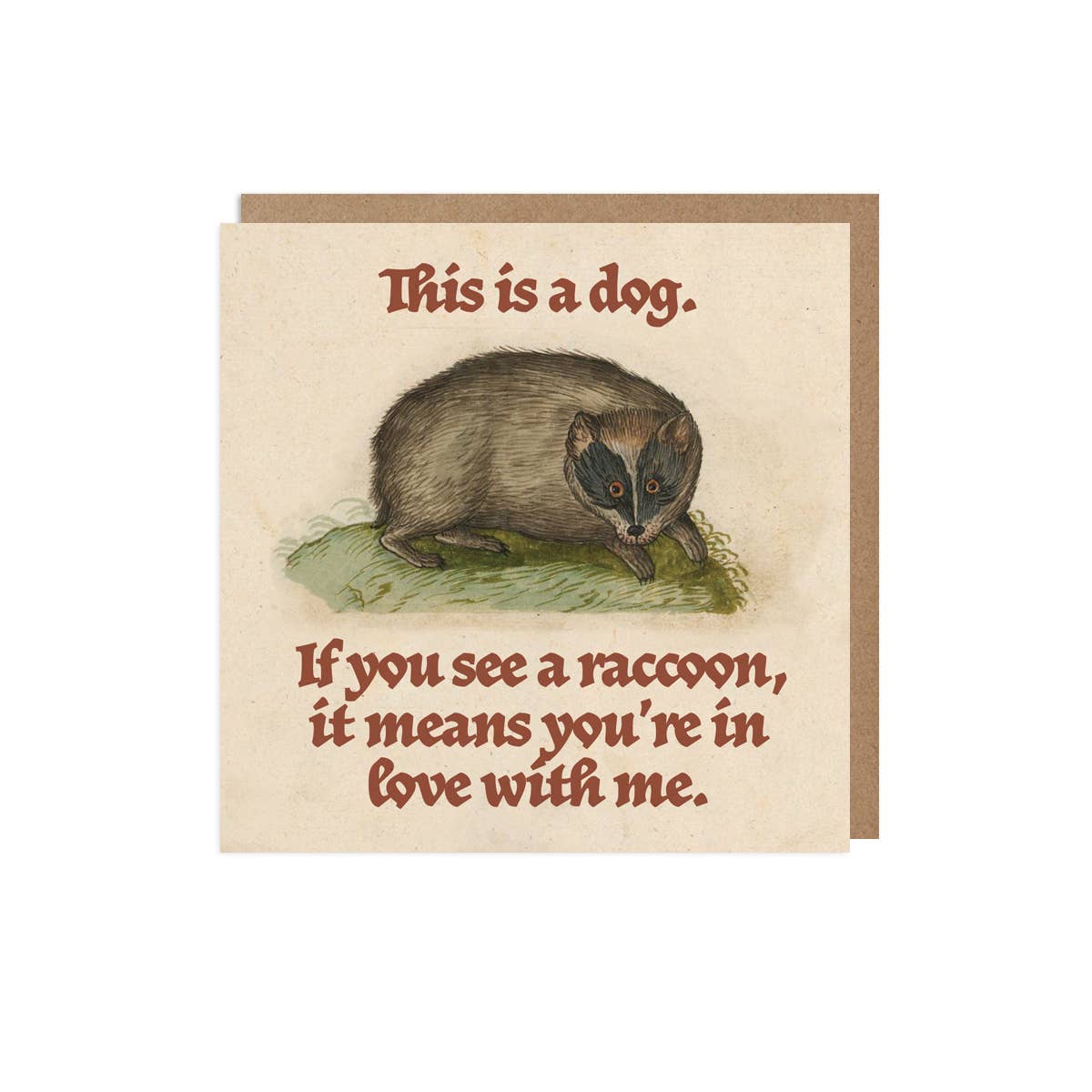 Not a Raccoon Funny Love Card
