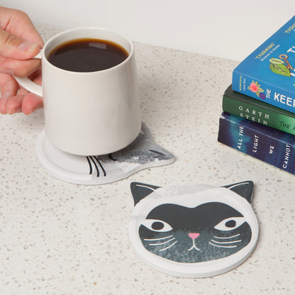 Cats Meow Soak Up Coasters Set