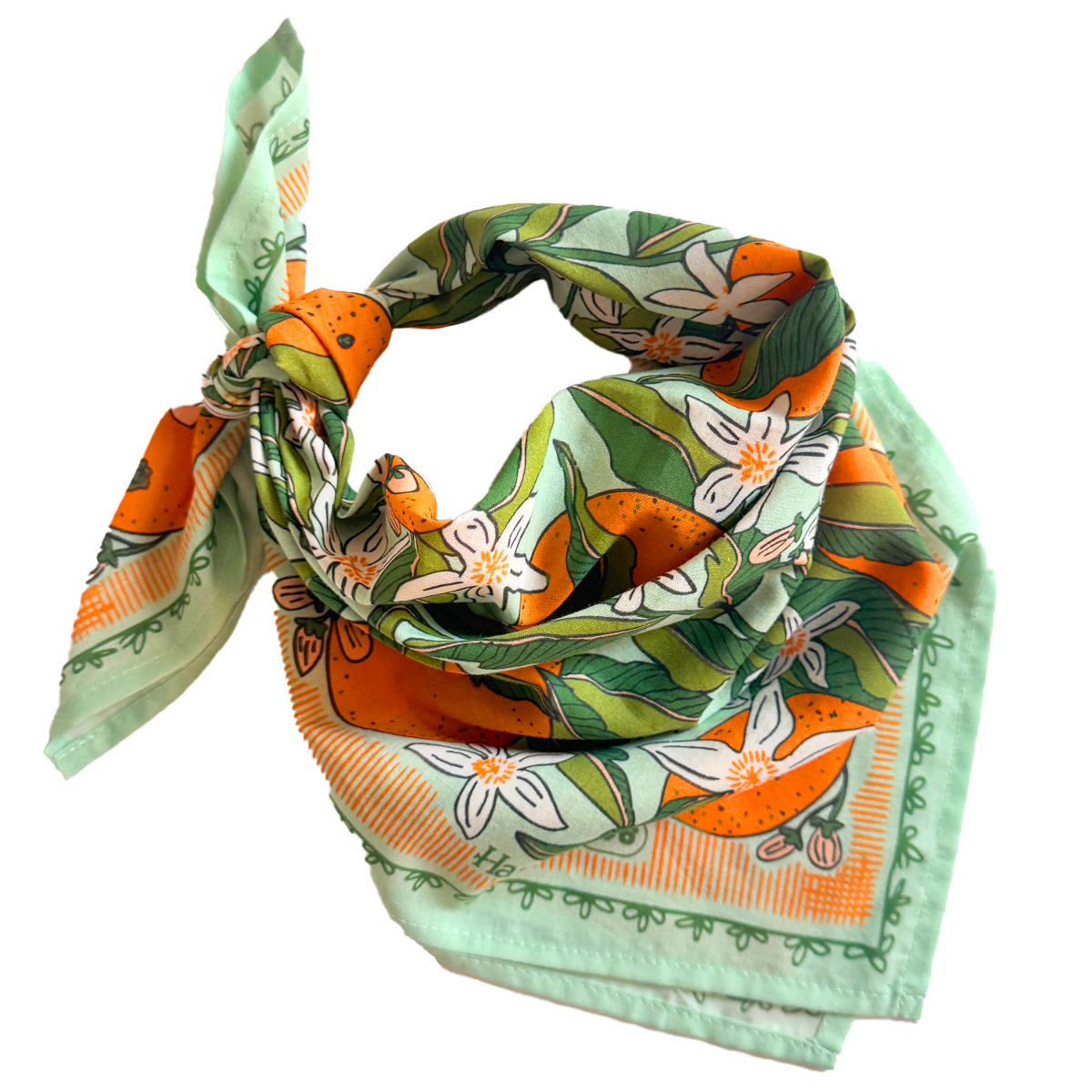 Zoe Bandana folded into a triangle