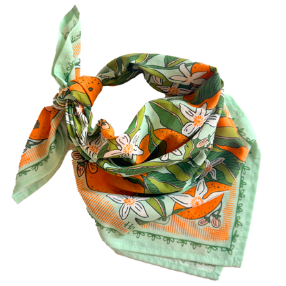 Zoe Bandana folded into a triangle