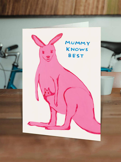 David Shrigley x Brainbox Candy Mummy Knows Best card with neon yellow envelope - PABOOM