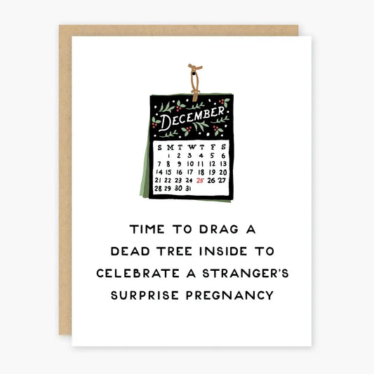 Surprise Pregnancy Holiday Card