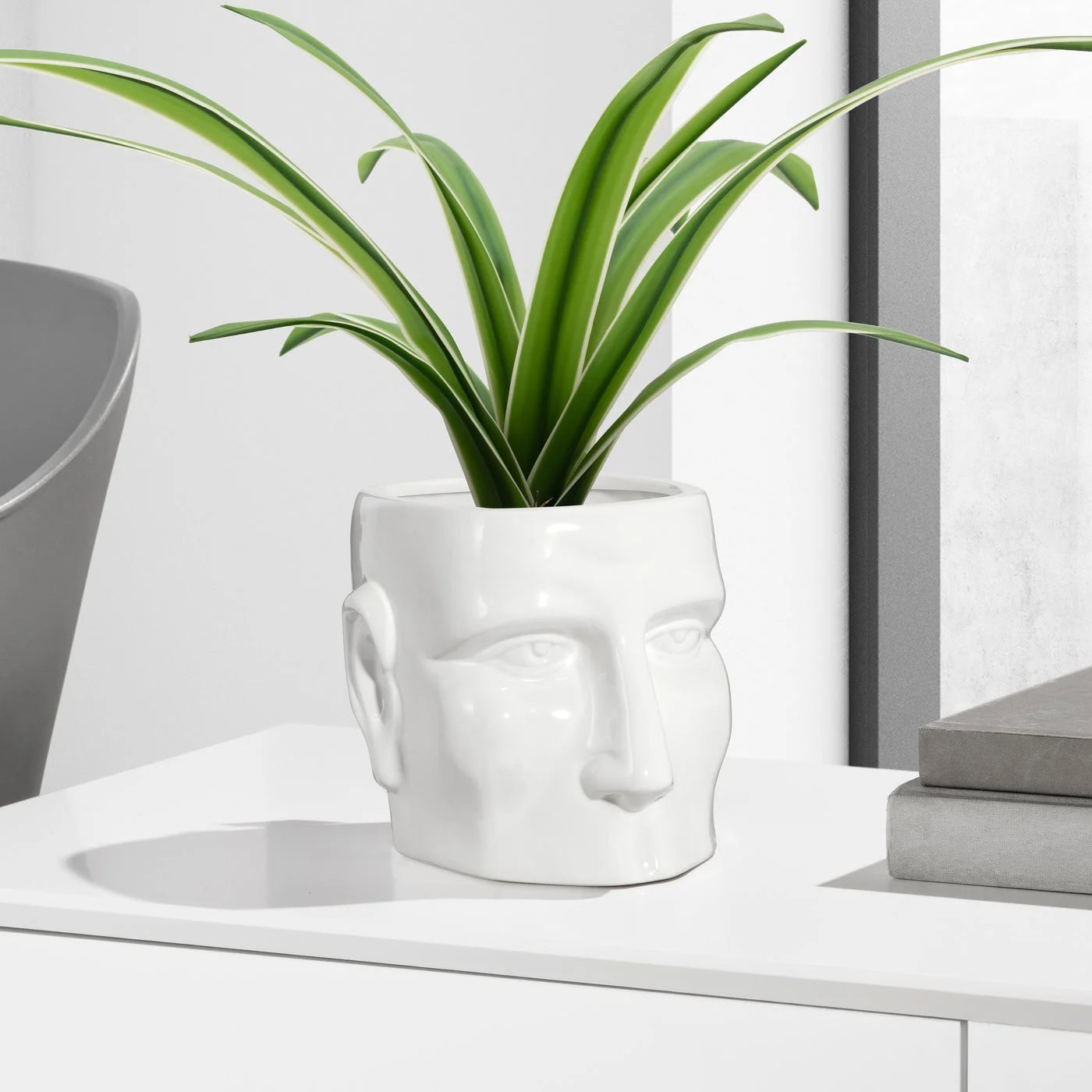 Face Shape Drop Pot Planter