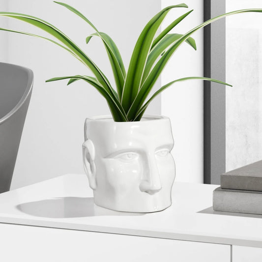 Face Shape Drop Pot Planter