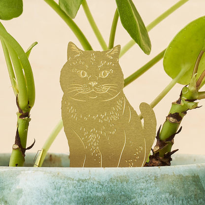 Plant Animal Cat