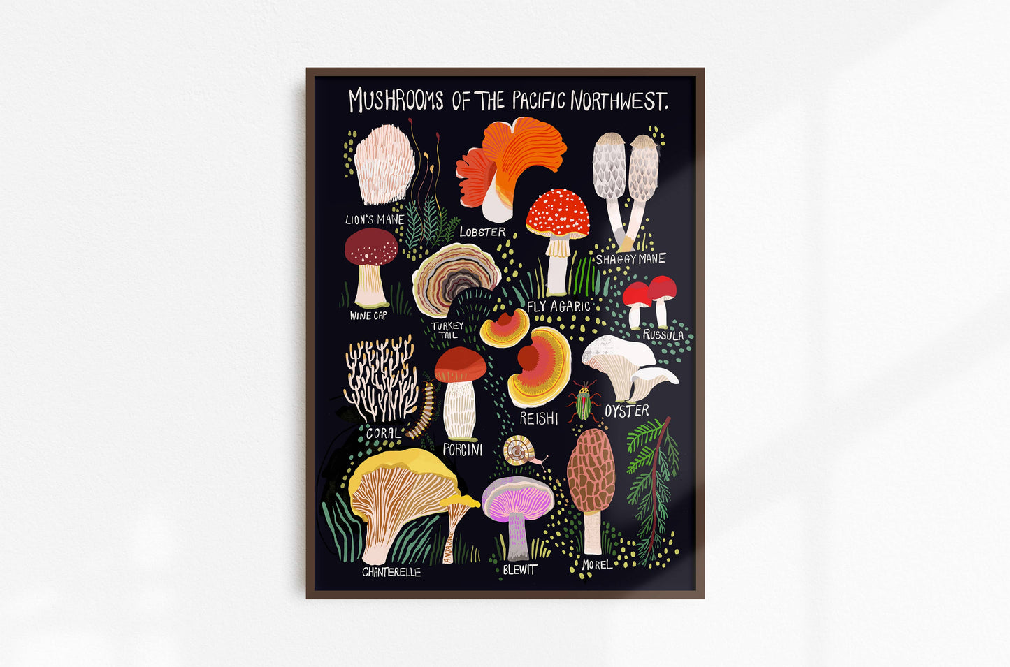 Mushrooms of the Pacific Northwest Art Print