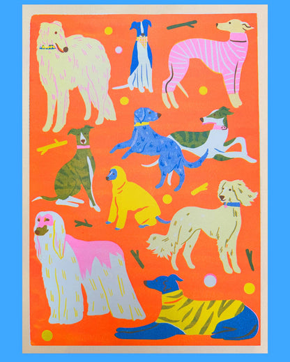 Risograph print featuring Greyhounds, Whippets, Afghan Hounds, Borzois and other sighthound breeds on an orange background - PABOOM