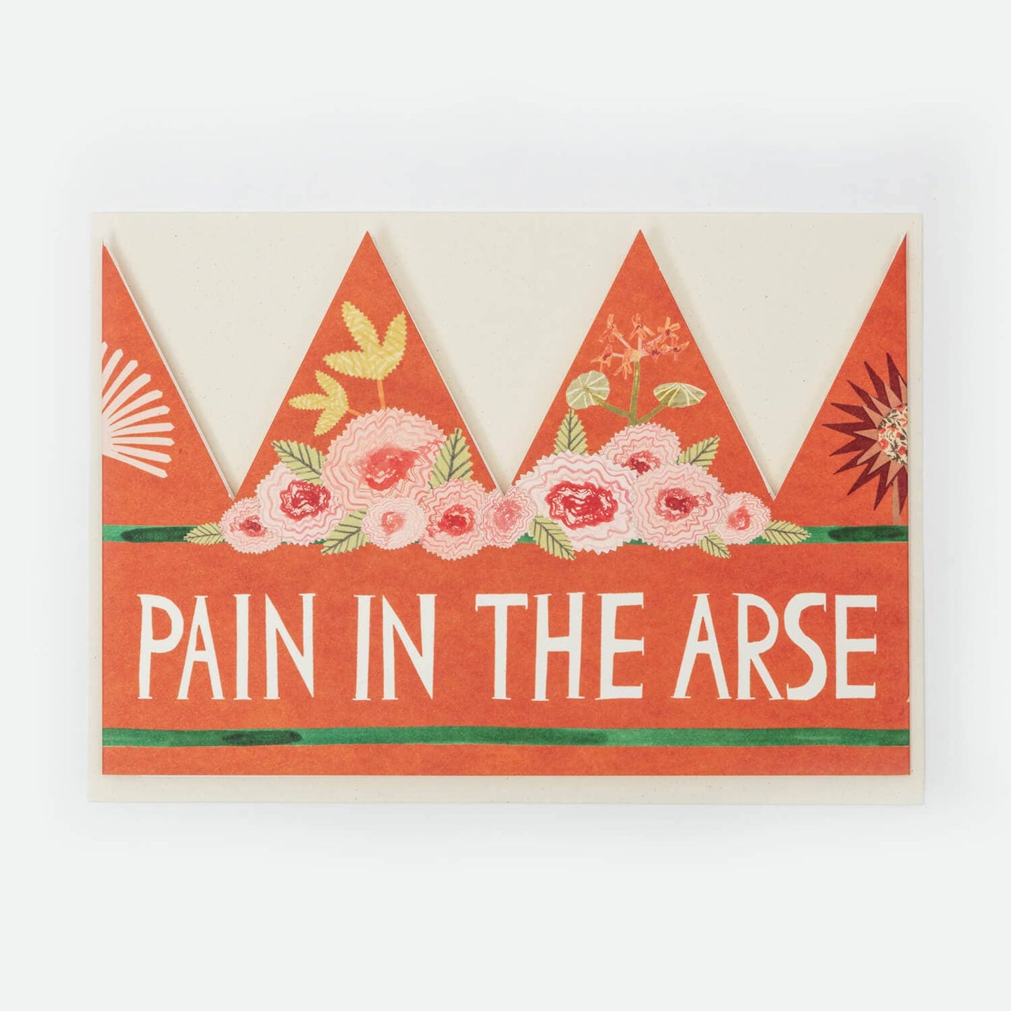 Pain in the Arse Party Hat flat