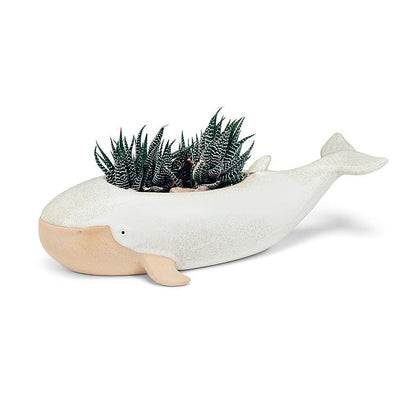 Long Whale Planter X-Large