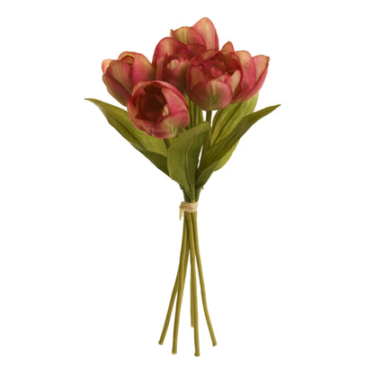 Tulips Flowers Bouquet (Tulipa Gesneriana) 12"