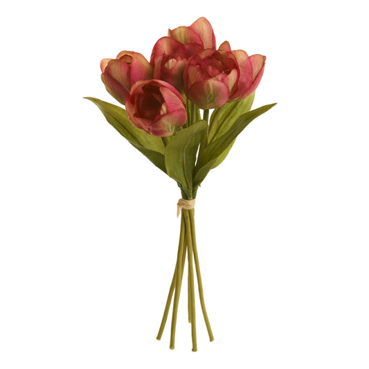 Tulips Flowers Bouquet (Tulipa Gesneriana) 12"