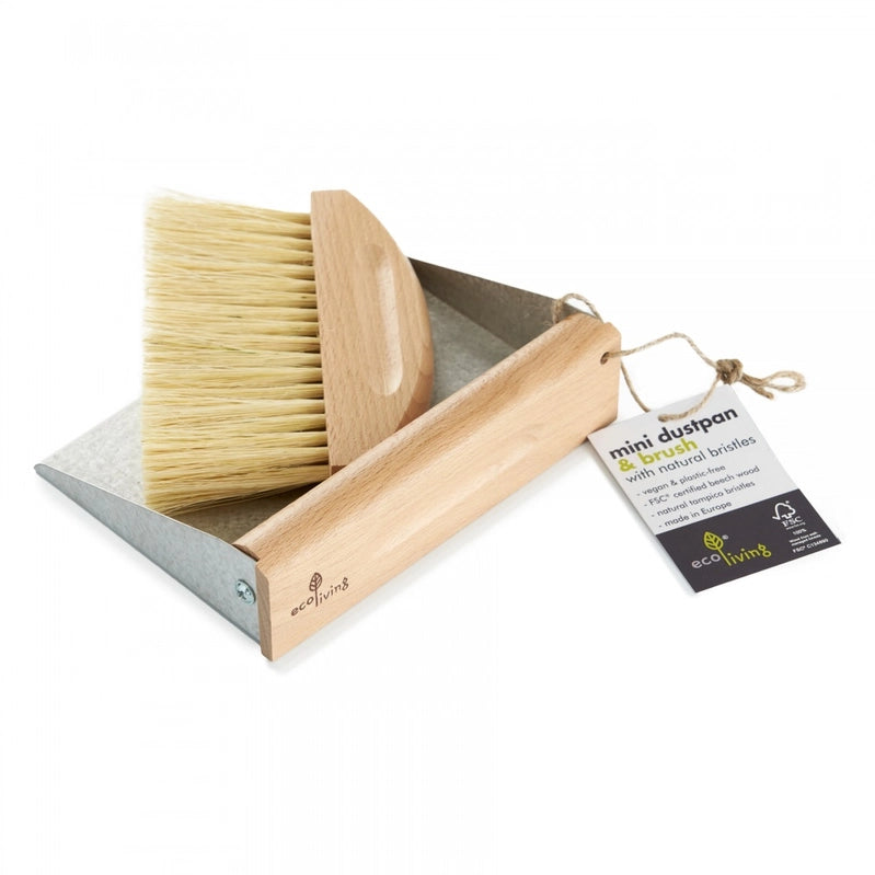 Mini Dustpan Set