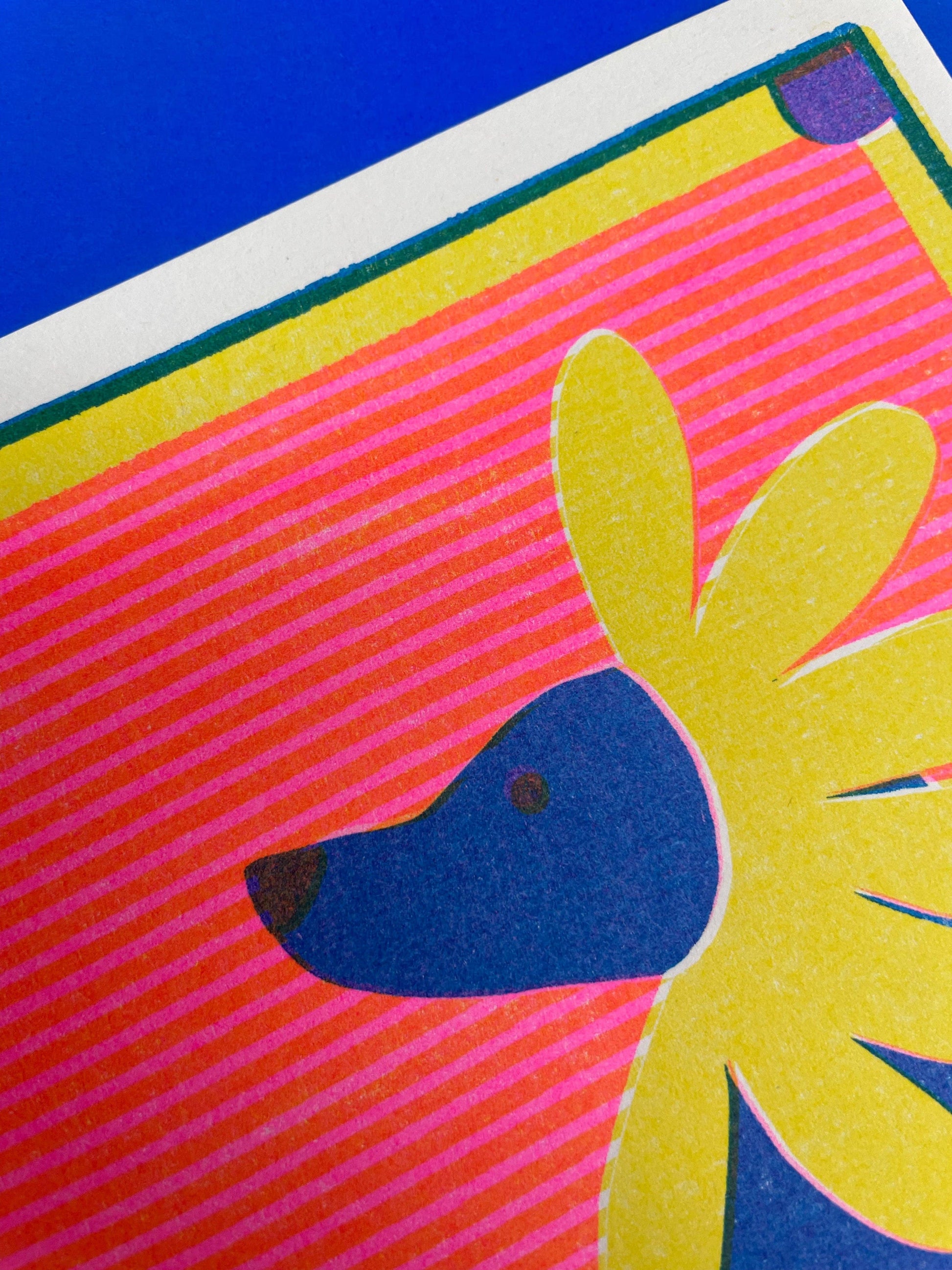 Daisy Labrador risograph print close-up detail - PABOOM