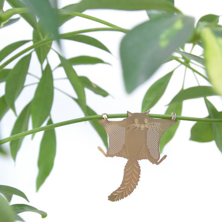 Plant Animal Flying Squirrel