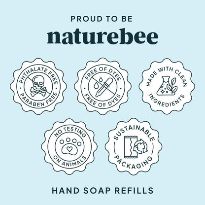 Concentrated Foaming Hand Soap Refills - 2-pack box : Eucalyptus Mint