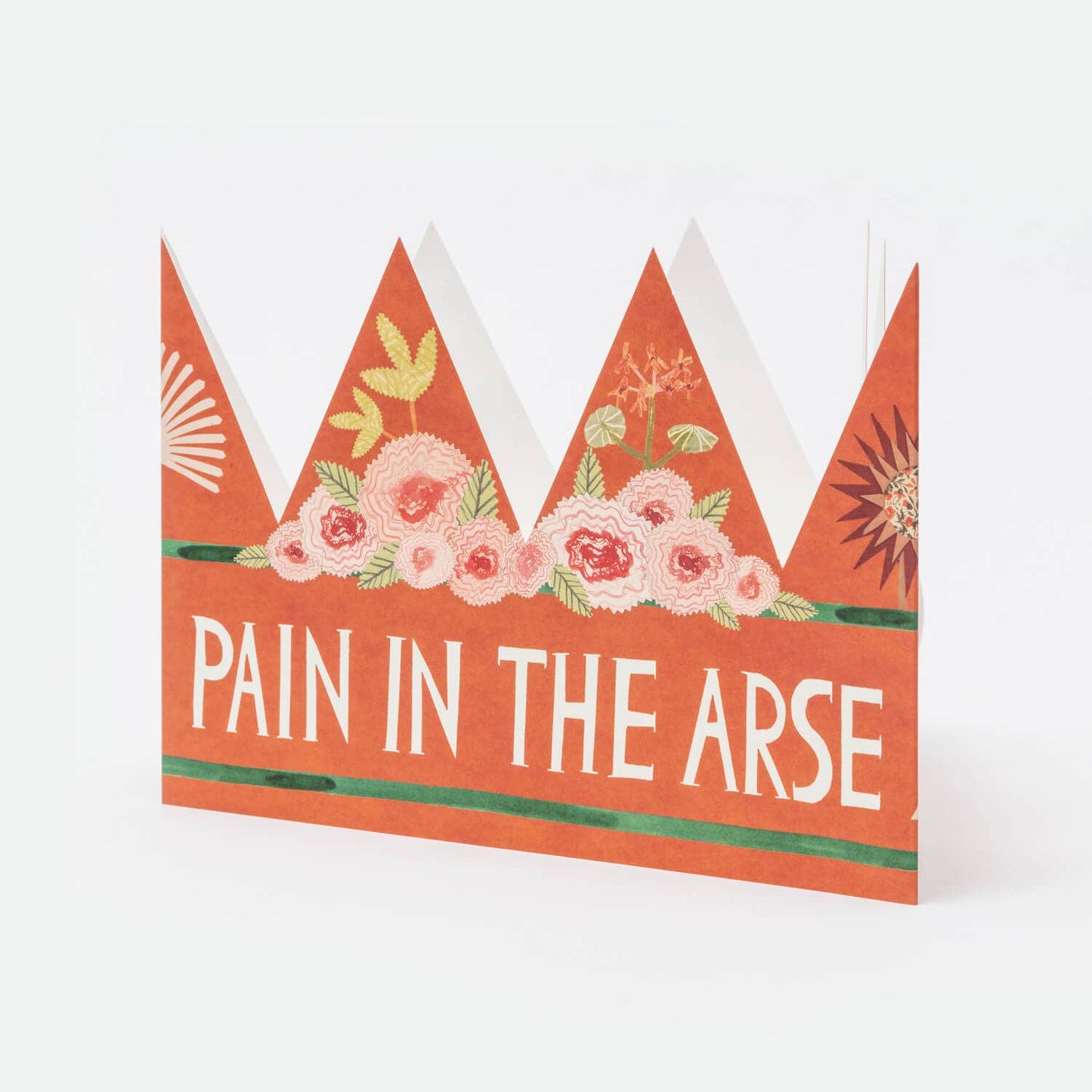 Pain in the Arse Party Hat shown at an angle