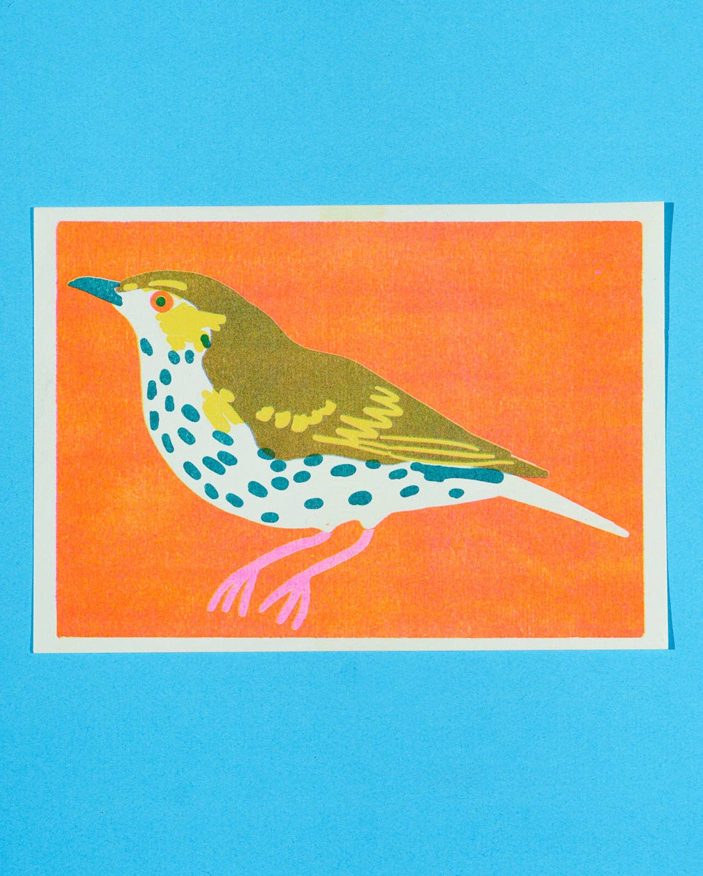 Risograph print of a spotted Mistle Thrush bird on an orange background - PABOOM