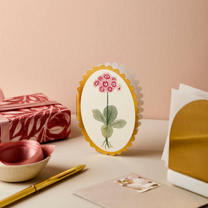 Pink and red auricula flower illustration on cream oval mini card with gold scalloped edge