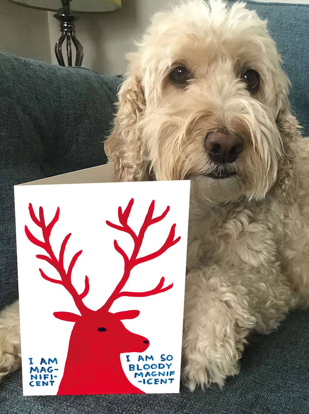 David Shrigley x Brainbox Candy Magnificent Deer Christmas card with red envelope - PABOOM