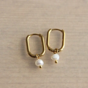 Gold Creole Oval Earrings w/Freshwater Pearl, Stainless