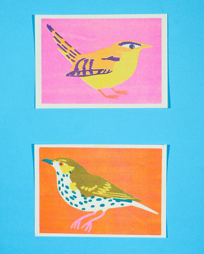 Mistle Thrush risograph print shown unframed on a table - PABOOM
