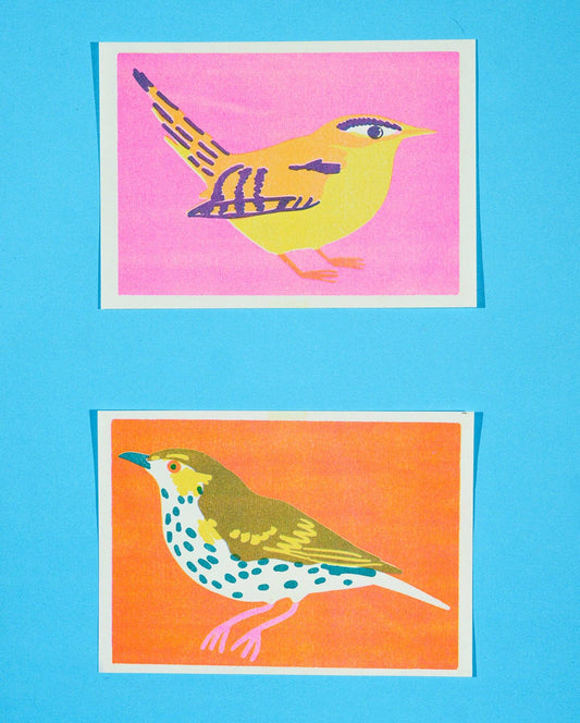 Mistle Thrush risograph print shown unframed on a table - PABOOM