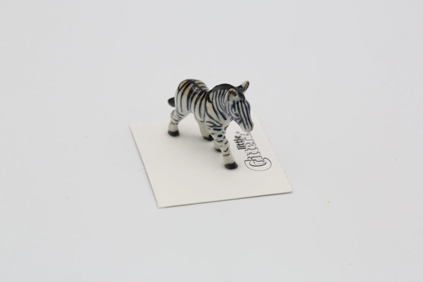 Zamia Zebra Porcelain Miniature