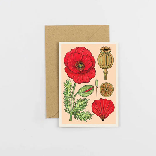 Studio Wald - UK Made - All Occasions A6 Card - Vintage Poppy
