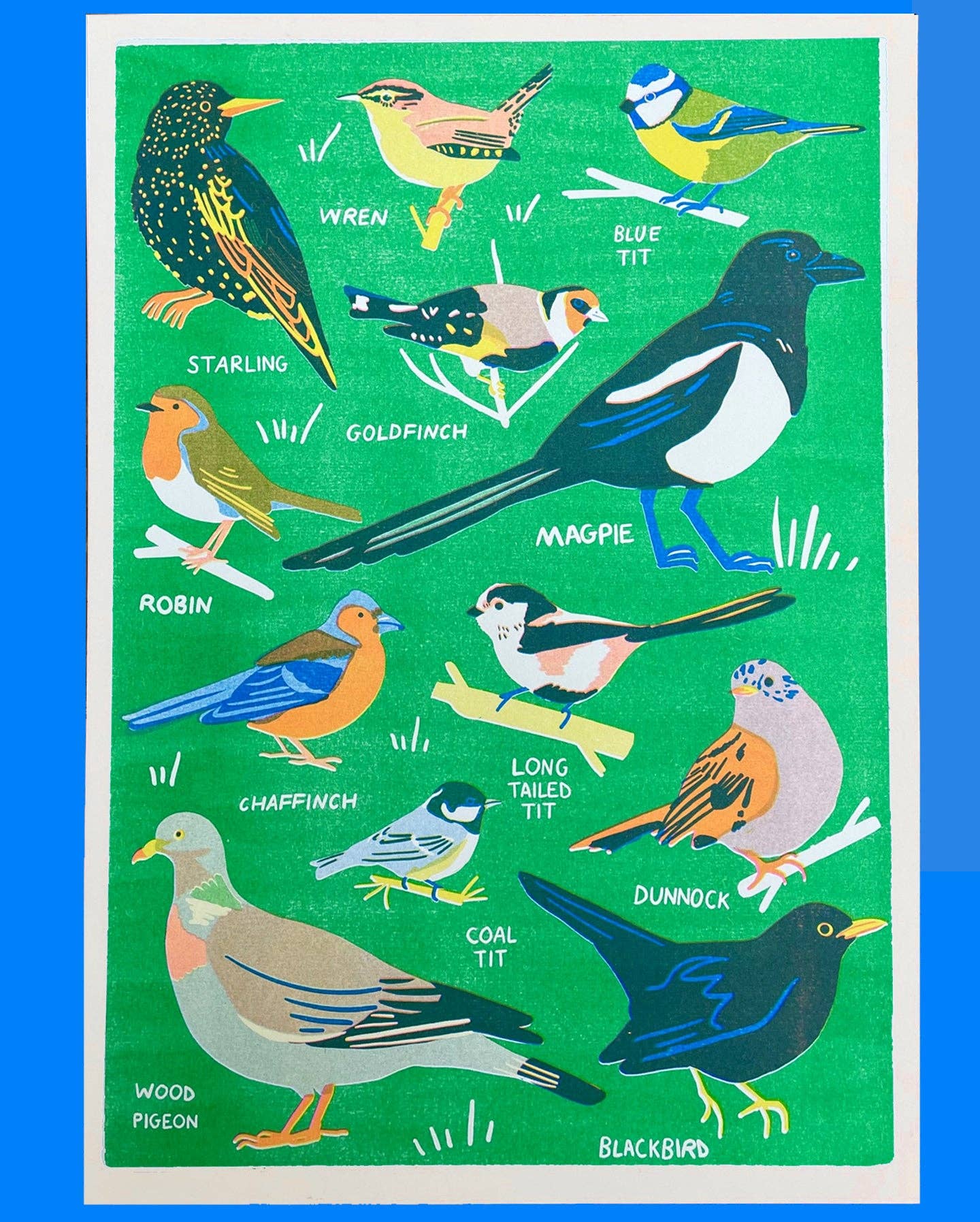 Risograph print illustrating 12 labelled UK garden birds including Robin, Magpie and Blue Tit on a green background - PABOOM