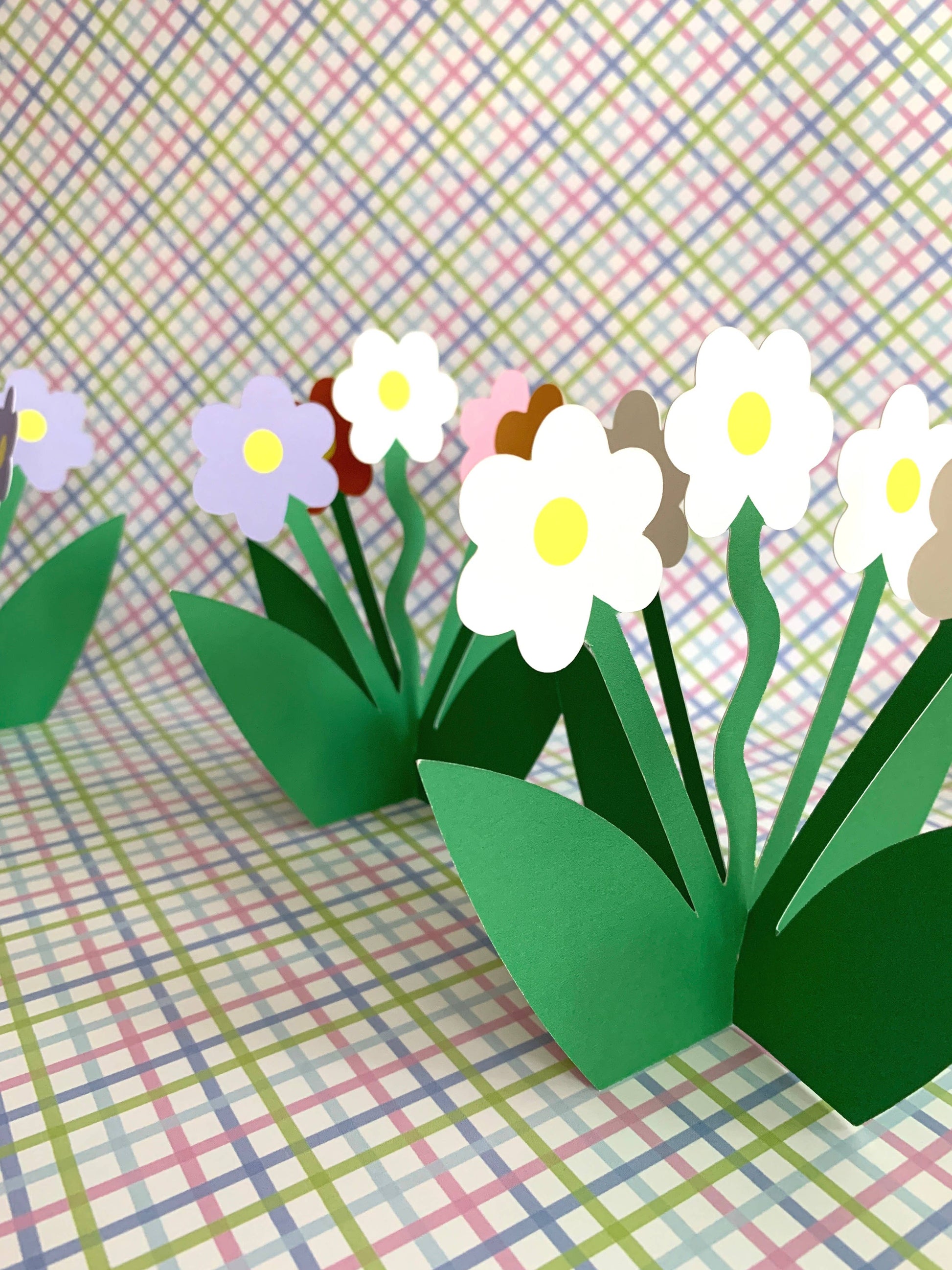 Standing White Daisy Floral Bloom greeting card displayed on a tabletop as a standing floral arrangement
