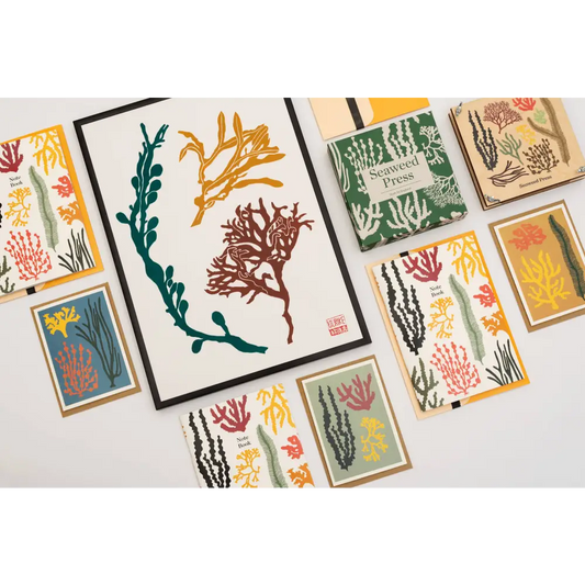 Studio Wald - UK Made - All Occasions A6 Card- Seaweed- Green