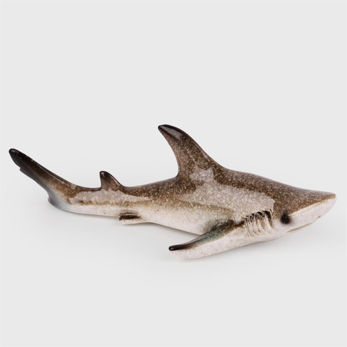 Shark Magnet
