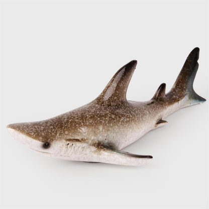 Shark Magnet