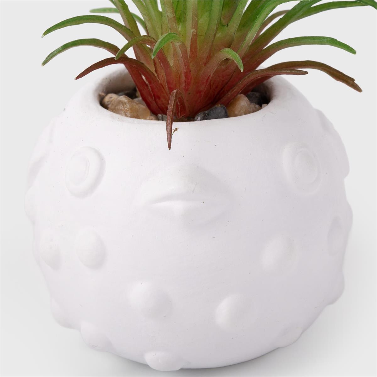 Faux Plant Fish Pot