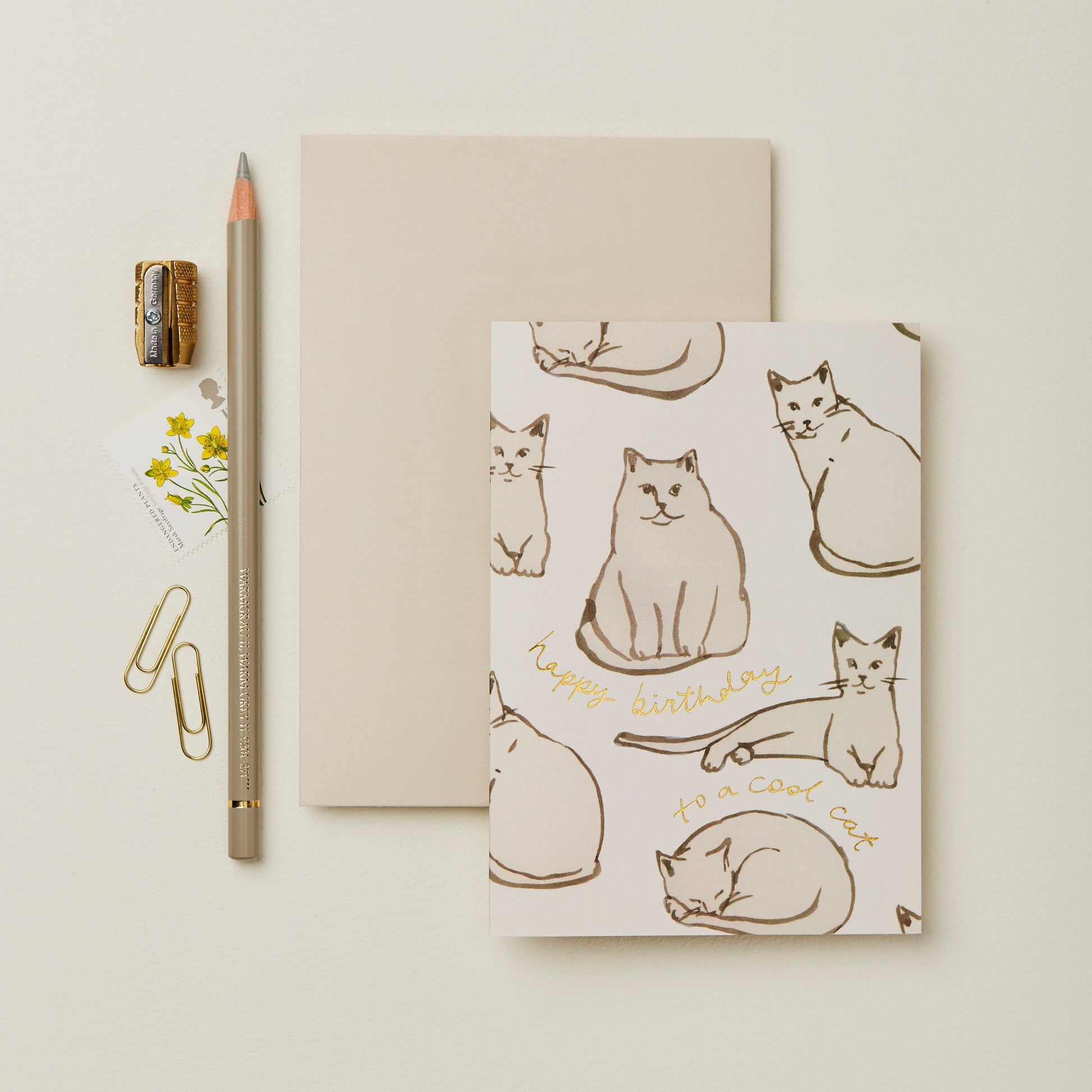 Cream card covered in line-drawn cats, reading Happy Birthday to a Cool Cat in gold script