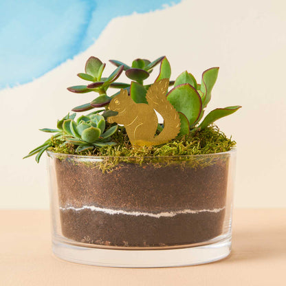 Plant Animal - Squirrel, Woodland Ornament