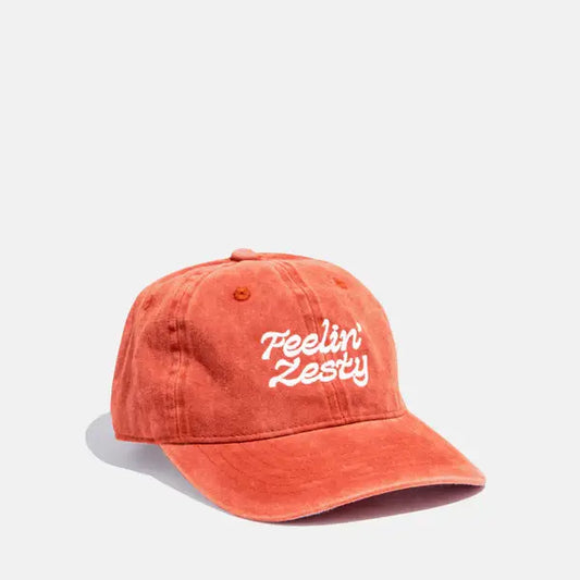 Epic Blend Feelin' Zesty dad hat in washed brick cotton with curved brim - PABOOM