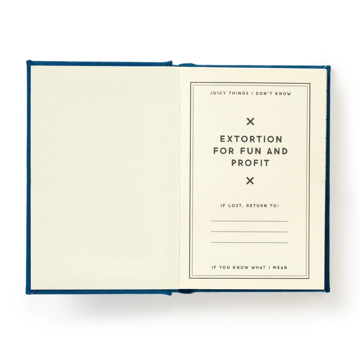 Future Blackmail Brass Monkey mini notebook spine - PABOOM