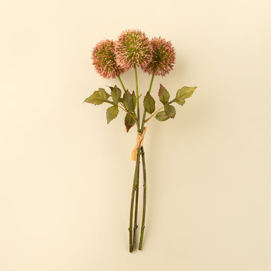 Allium Bouquet in Pink styled in a ceramic vase