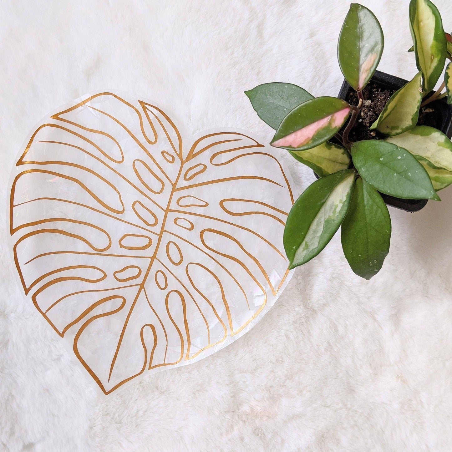 Monstera Leaf Suncatcher Sticker | Window Cling | Plant Gift