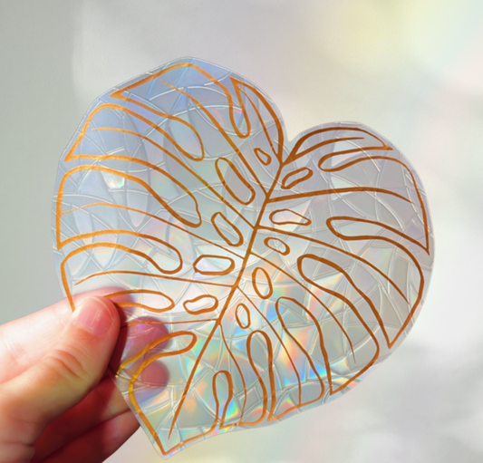 Monstera Leaf Suncatcher Sticker