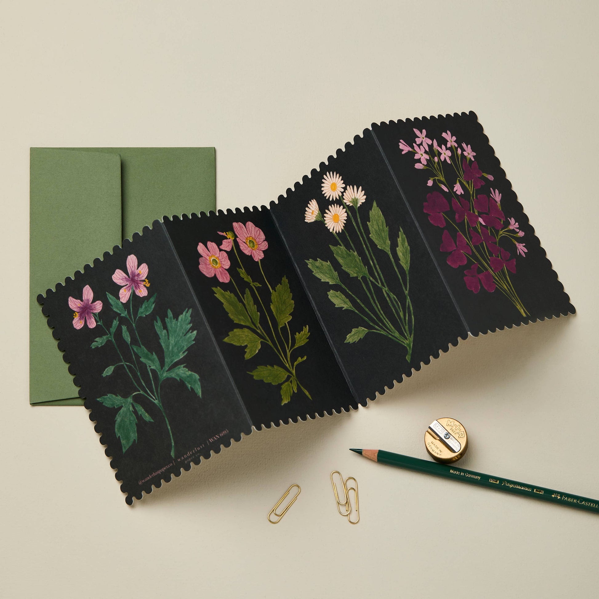 Four-panel fold-out concertina card with colorful wildflower illustrations on a black background