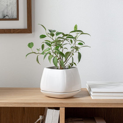 Mod Cube Planter White Small