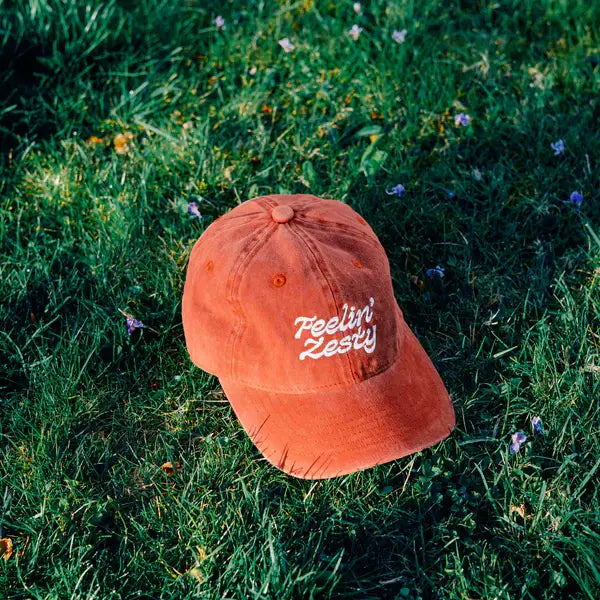 Feelin' Zesty dad hat adjustable strapback closure, back view - PABOOM
