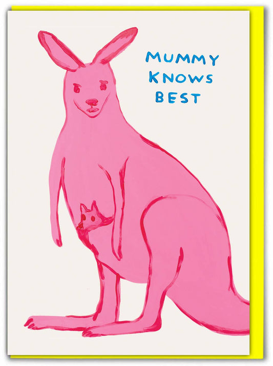 David Shrigley illustration of a pink kangaroo with a joey in its pouch and the caption "Mummy Knows Best" on a greeting card - PABOOM