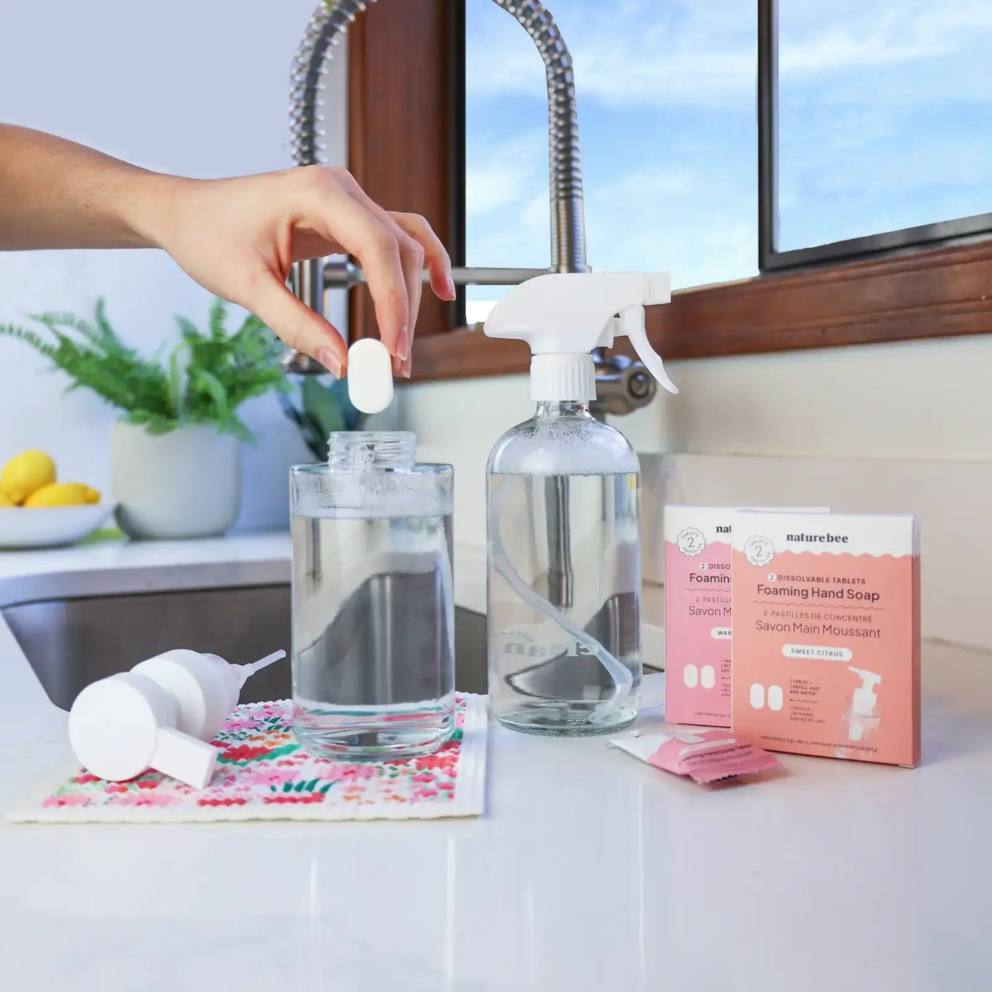 Concentrated Foaming Hand Soap Refills - 2-pack box : Eucalyptus Mint
