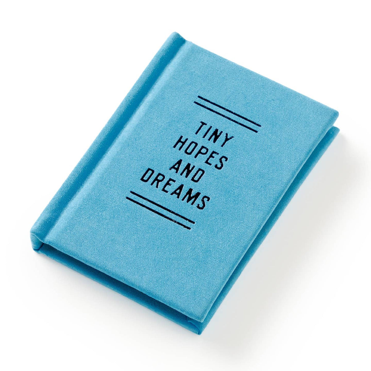 Tiny Hopes + Dreams diary open pages - PABOOM
