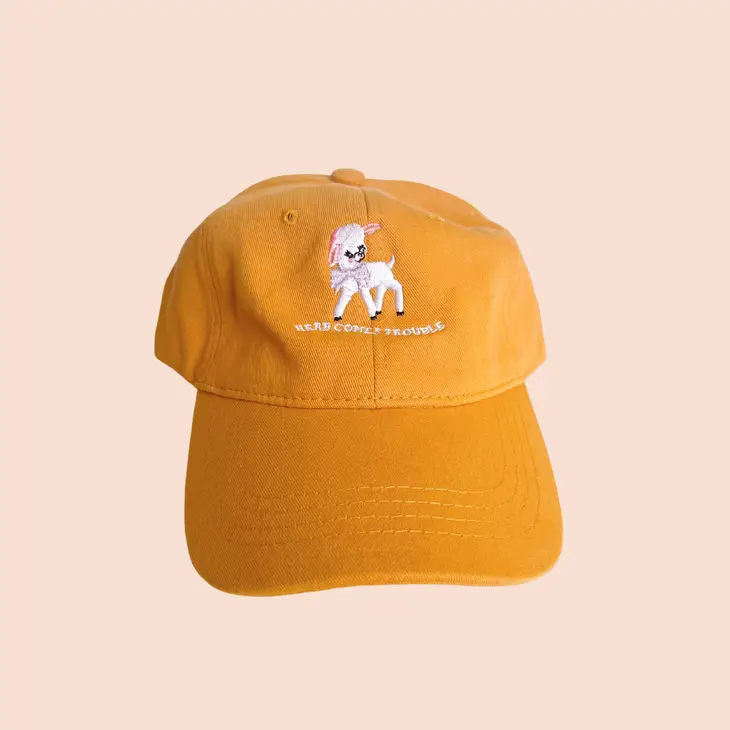 Here Comes Trouble Dad Hat