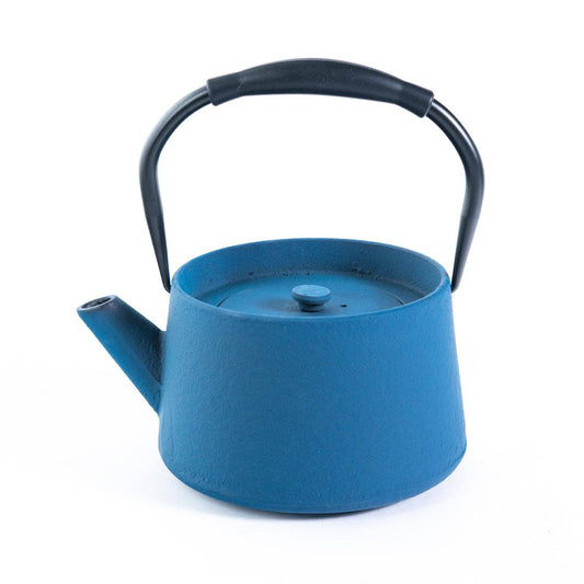 Modern Straight Edge Cast Iron Tea Pot - Blue