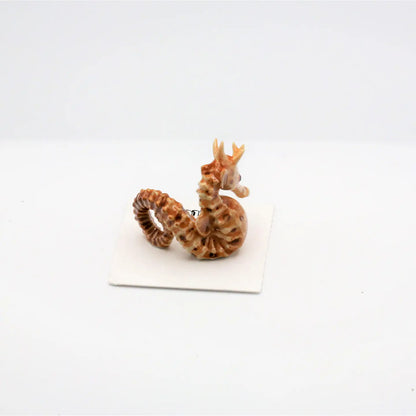 Dancer Big Belly Seahorse Miniature